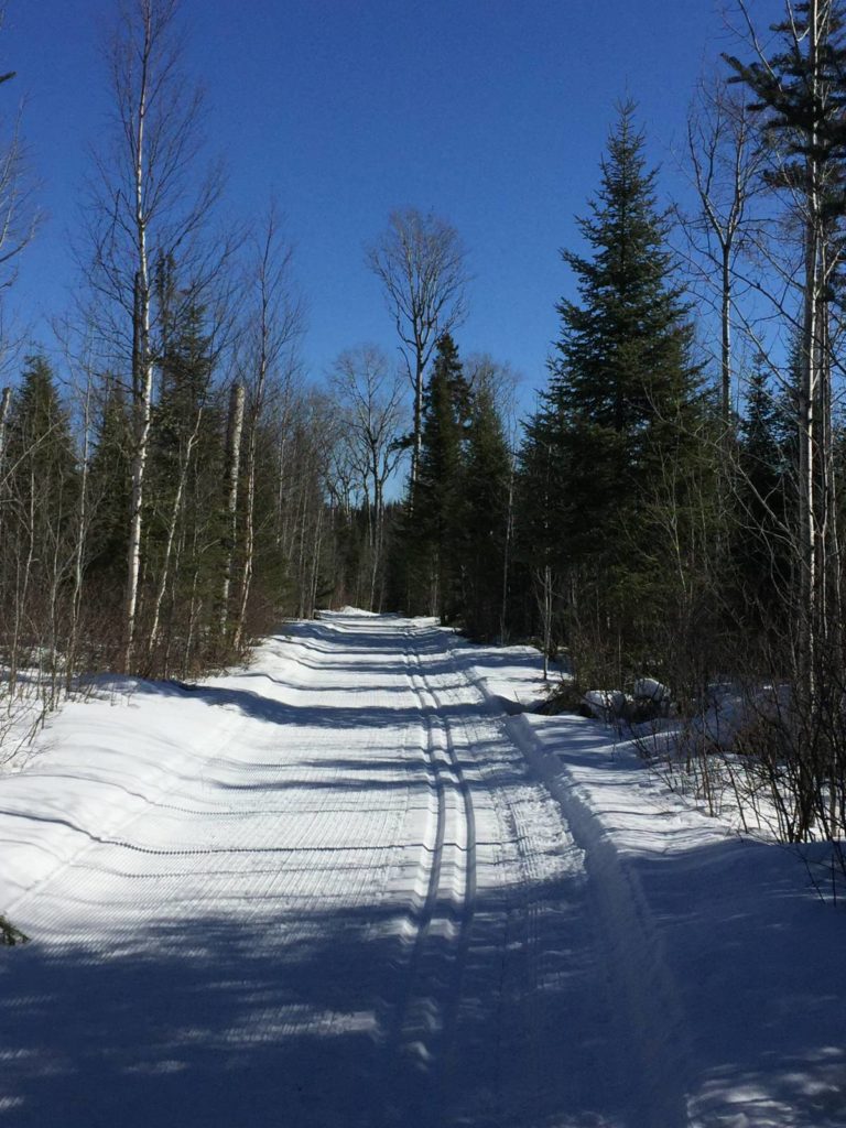 Golden eagle lodge, gunflint trail, central gunflint ski trail system, bearskin lodge, cross country skiing